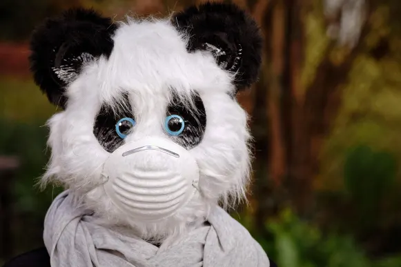 Casino Cyber Bingo Assistance